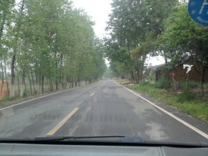 归途-2011.5.11-01