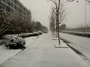 合肥工大宣城校区雪景【2016.1.22】