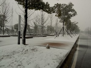 合肥工大宣城校区雪景【2016.1.22】