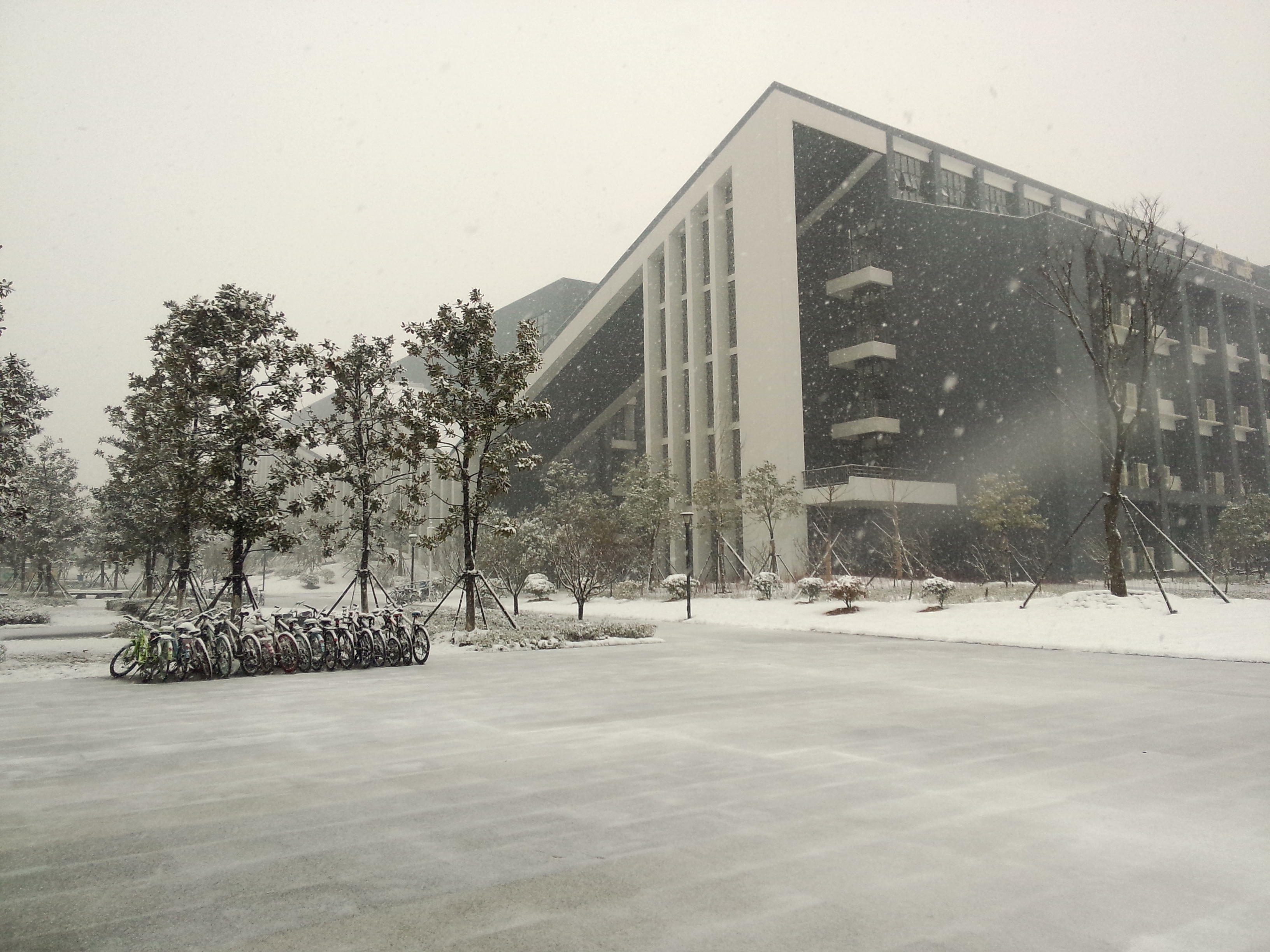 合肥工业大学宣城校区雪景【2016.1.22】