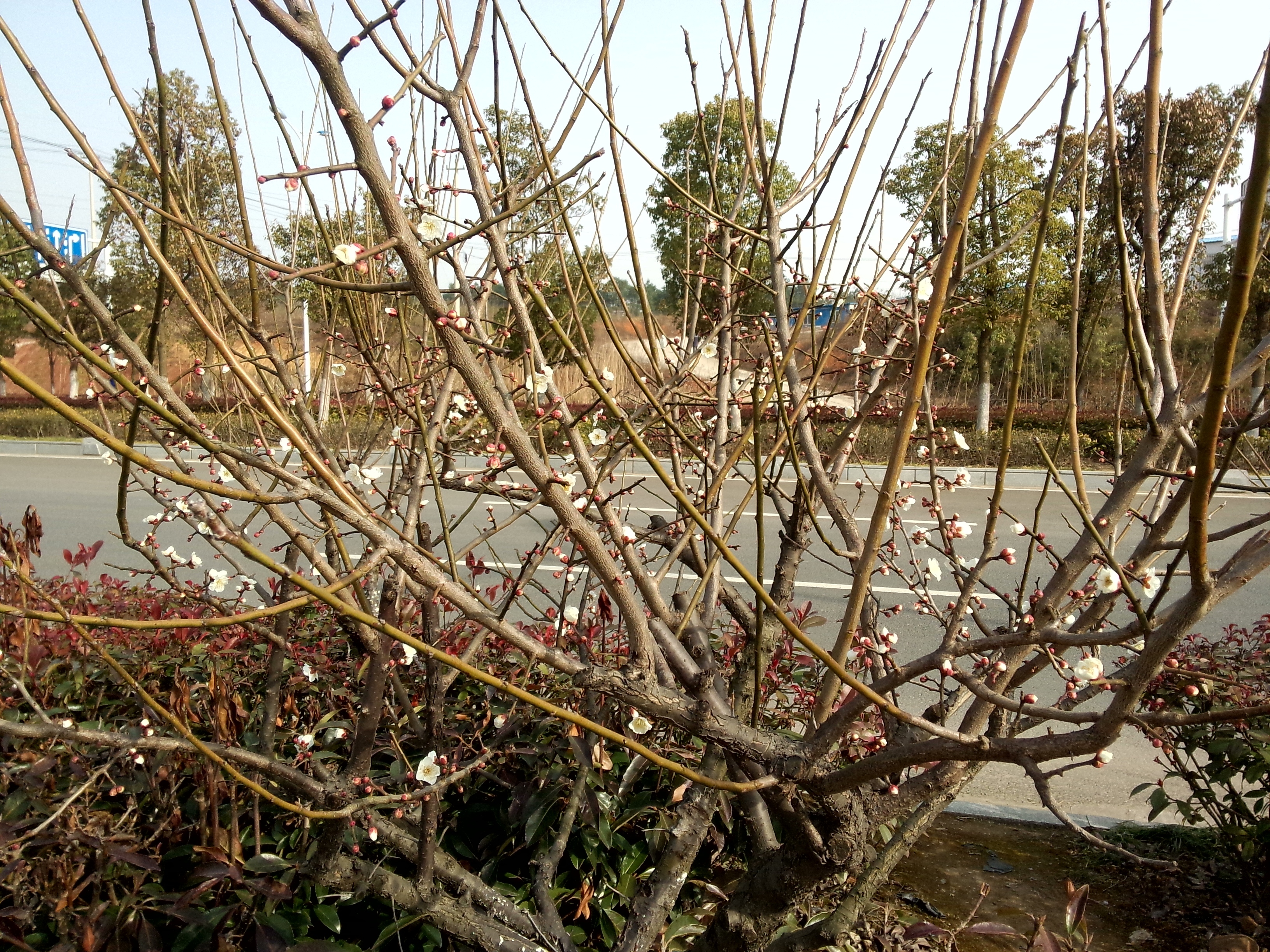 P60220-092408