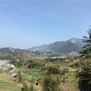 梯田与小镇，风景如画