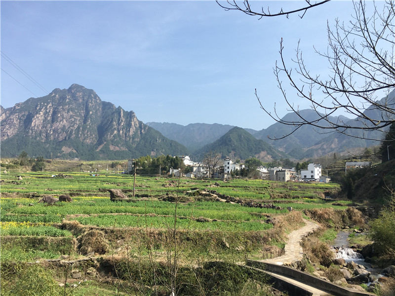 梯田与小镇，风景如画
