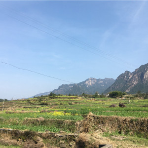 梯田与远山
