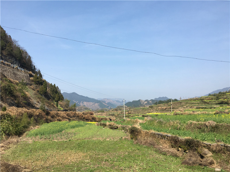 梯田与远山
