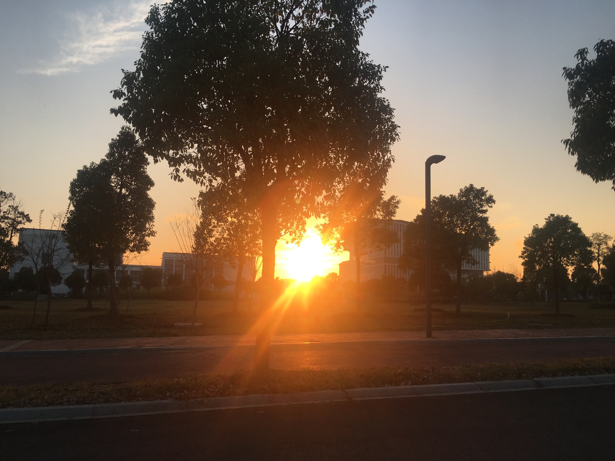 校园 秋 落日