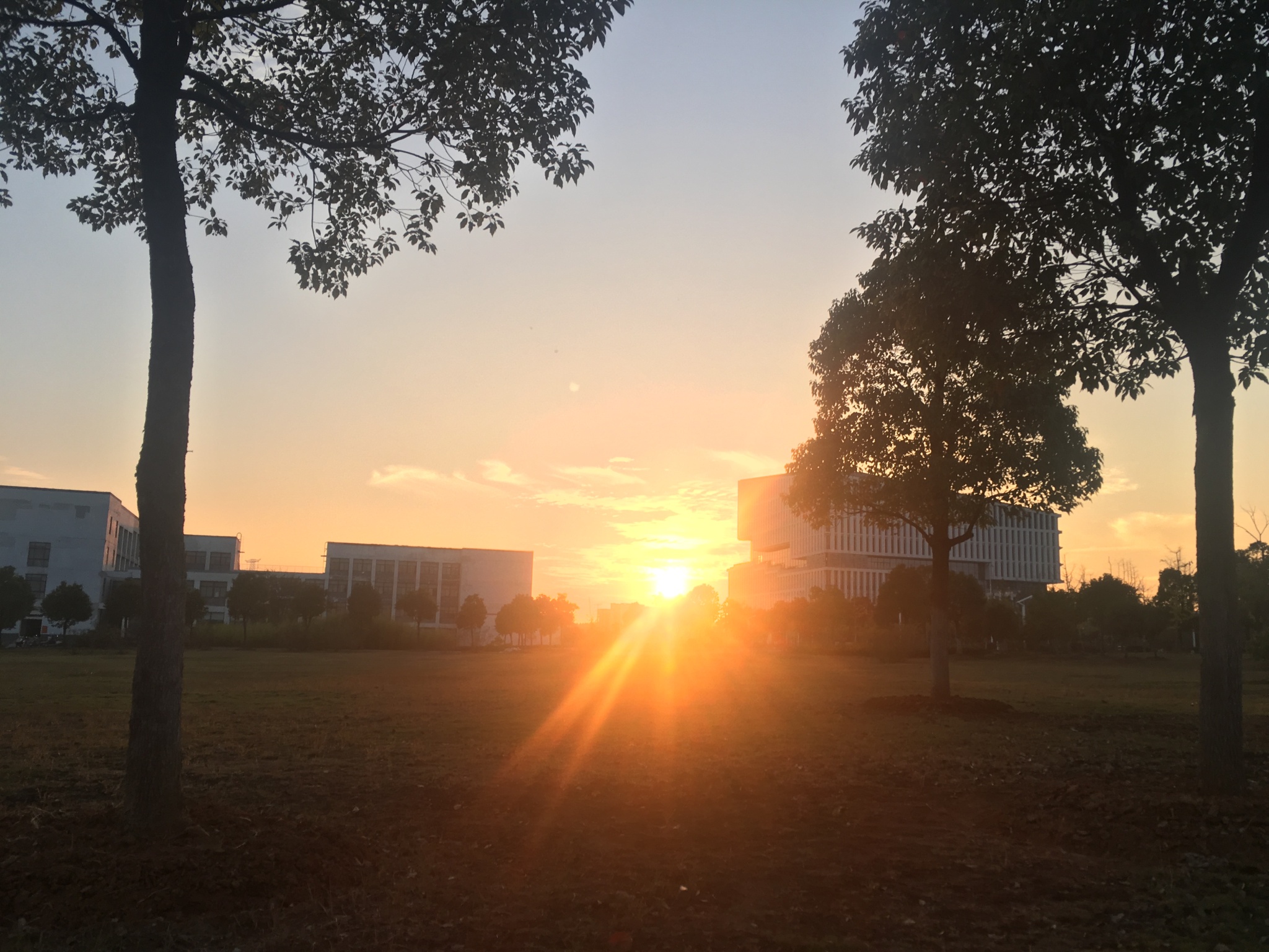 校园 秋 落日