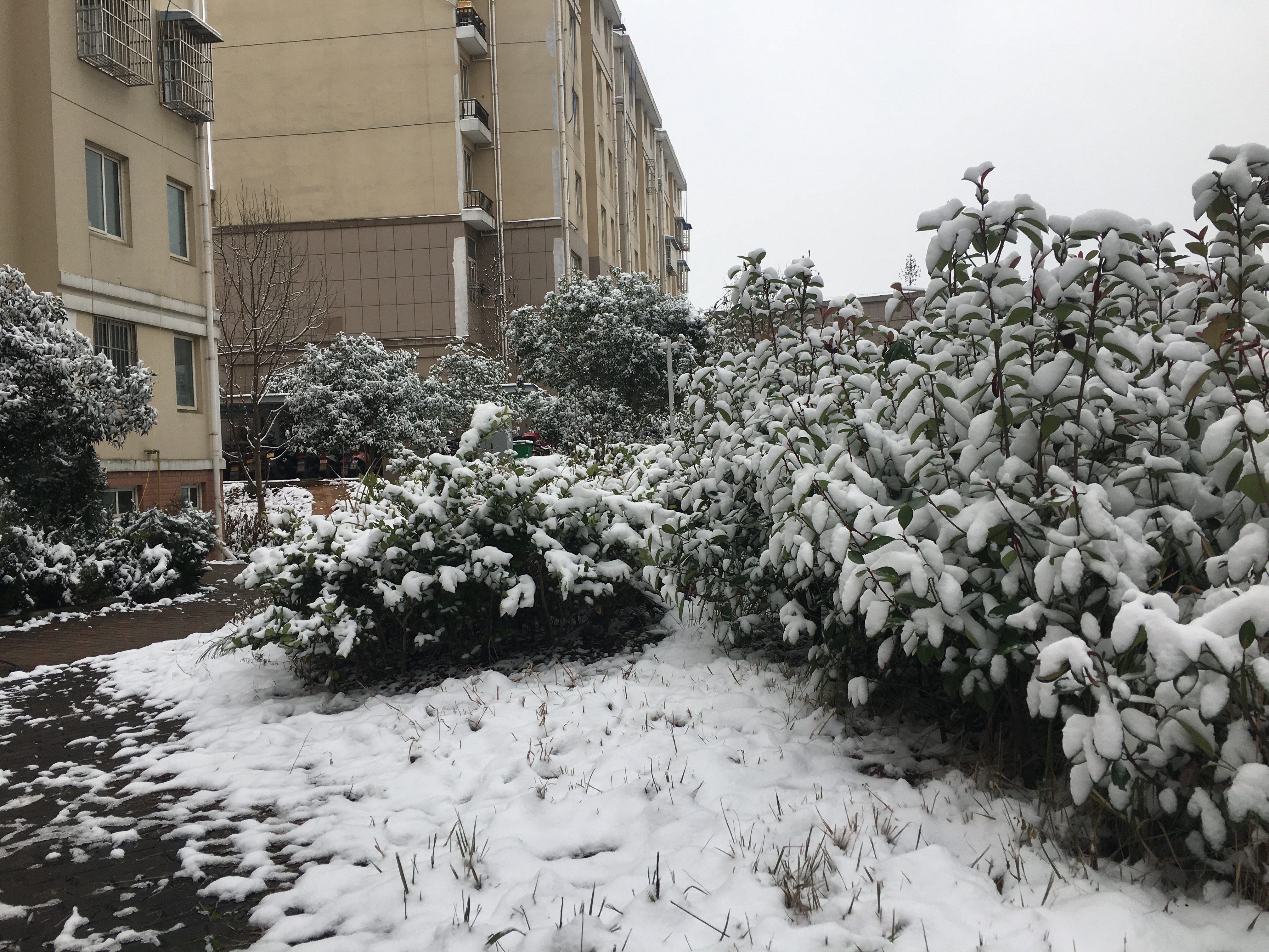 2018年最后一场雪