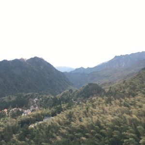 索道观竹海