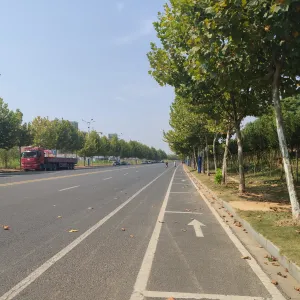 秋叶、秋树、秋路、秋转冬20191004