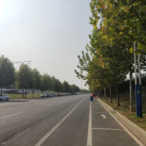秋叶、秋树、秋路、秋转冬20191009